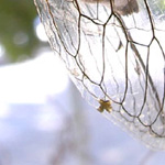 フランス欧州写真１１