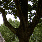 フランス欧州写真４