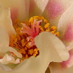 フランス欧州写真６